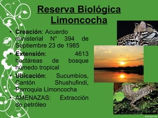 Reserva Biológica
Limoncocha
• Creación: Acuerdo
ministerial N° 394 de
Septiembre 23 de 1985
• Extensión: 4613
hectáreas de bosque
húmedo tropical
• Ubicación: Sucumbíos,
Cantón Shushufindi,
Parroquia Limoncocha
• AMENAZAS: Extracción
de petróleo
 