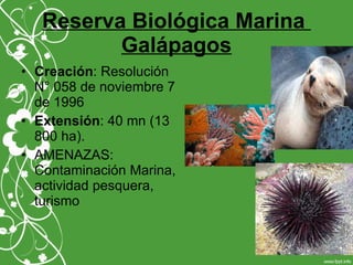 Reserva Biológica Marina
Galápagos
• Creación: Resolución
N° 058 de noviembre 7
de 1996
• Extensión: 40 mn (13
800 ha).
• AMENAZAS:
Contaminación Marina,
actividad pesquera,
turismo
 