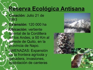 Reserva Ecológica Antisana
• Creación: Julio 21 de
1993
• Extensión: 120 000 ha
• Ubicación: vertiente
oriental de la Cordillera
de los Andes, a 50 Km al
sureste de Quito, en la
provincia de Napo.
• AMENAZAS: Expansión
de la frontera agrícola y
ganadera, invasiones,
explotación de canteras
 