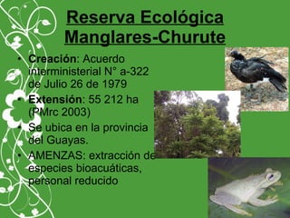 Reserva Ecológica
Manglares-Churute
• Creación: Acuerdo
interministerial N° a-322
de Julio 26 de 1979
• Extensión: 55 212 ha
(PMrc 2003)
• Se ubica en la provincia
del Guayas.
• AMENZAS: extracción de
especies bioacuáticas,
personal reducido
 