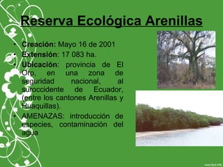 Reserva Ecológica Arenillas
• Creación: Mayo 16 de 2001
• Extensión: 17 083 ha.
• Ubicación: provincia de El
Oro, en una zona de
seguridad nacional, al
suroccidente de Ecuador,
(entre los cantones Arenillas y
Huaquillas).
• AMENAZAS: introducción de
especies, contaminación del
agua
 