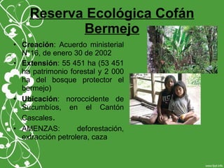 Reserva Ecológica Cofán
Bermejo
• Creación: Acuerdo ministerial
N°16, de enero 30 de 2002
• Extensión: 55 451 ha (53 451
ha patrimonio forestal y 2 000
ha del bosque protector el
bermejo)
• Ubicación: noroccidente de
Sucumbíos, en el Cantón
Cascales.
• AMENZAS: deforestación,
extracción petrolera, caza
 
