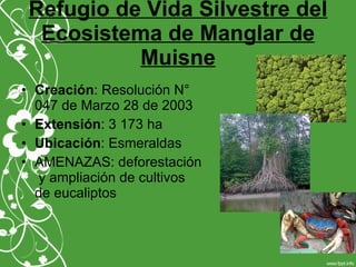 Refugio de Vida Silvestre del
Ecosistema de Manglar de
Muisne
• Creación: Resolución N°
047 de Marzo 28 de 2003
• Extensión: 3 173 ha
• Ubicación: Esmeraldas
• AMENAZAS: deforestación
y ampliación de cultivos
de eucaliptos
 