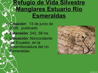 Refugio de Vida Silvestre
Manglares Estuario Río
Esmeraldas
• Creación: 13 de junio de
2008, publicado
• Extensión: 242, 58 ha.
• Ubicación: Noroccidente
del Ecuador, en la
desembocadura del río
Esmeraldas
 