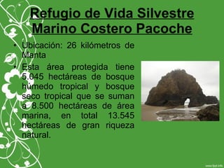 Refugio de Vida Silvestre
Marino Costero Pacoche
• Ubicación: 26 kilómetros de
Manta
• Esta área protegida tiene
5.045 hectáreas de bosque
húmedo tropical y bosque
seco tropical que se suman
a 8.500 hectáreas de área
marina, en total 13.545
hectáreas de gran riqueza
natural.
 