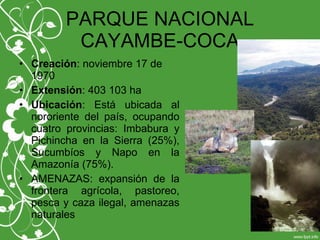 PARQUE NACIONAL
CAYAMBE-COCA
• Creación: noviembre 17 de
1970
• Extensión: 403 103 ha
• Ubicación: Está ubicada al
nororiente del país, ocupando
cuatro provincias: Imbabura y
Pichincha en la Sierra (25%),
Sucumbíos y Napo en la
Amazonía (75%).
• AMENAZAS: expansión de la
frontera agrícola, pastoreo,
pesca y caza ilegal, amenazas
naturales
 