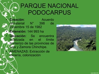 PARQUE NACIONAL
PODOCARPUS
• Creación: Acuerdo
ministerial N° 398 de
Diciembre 15 de 1982
• Extensión: 144 993 ha
• Ubicación: Se encuentra
localizada en el límite
fronterizo de las provincias de
Loja y Zamora Chinchipe.
• AMENAZAS: Extracción de
minería, colonización
 