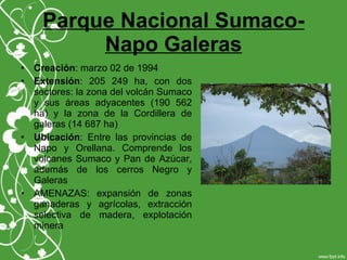 Parque Nacional Sumaco-
Napo Galeras
• Creación: marzo 02 de 1994
• Extensión: 205 249 ha, con dos
sectores: la zona del volcán Sumaco
y sus áreas adyacentes (190 562
ha) y la zona de la Cordillera de
galeras (14 687 ha)
• Ubicación: Entre las provincias de
Napo y Orellana. Comprende los
volcanes Sumaco y Pan de Azúcar,
además de los cerros Negro y
Galeras
• AMENAZAS: expansión de zonas
ganaderas y agrícolas, extracción
selectiva de madera, explotación
minera
 