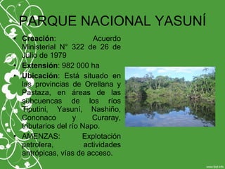 PARQUE NACIONAL YASUNÍ
• Creación: Acuerdo
Ministerial N° 322 de 26 de
Julio de 1979
• Extensión: 982 000 ha
• Ubicación: Está situado en
las provincias de Orellana y
Pastaza, en áreas de las
subcuencas de los ríos
Tiputini, Yasuní, Nashiño,
Cononaco y Curaray,
tributarios del río Napo.
• AMENZAS: Explotación
petrolera, actividades
antrópicas, vías de acceso.
 