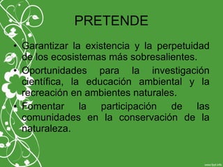 PRETENDE
• Garantizar la existencia y la perpetuidad
de los ecosistemas más sobresalientes.
• Oportunidades para la investigación
científica, la educación ambiental y la
recreación en ambientes naturales.
• Fomentar la participación de las
comunidades en la conservación de la
naturaleza.
 