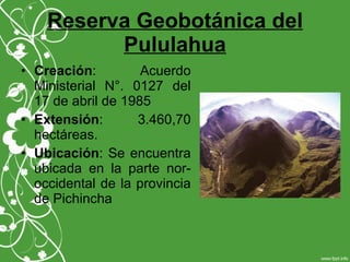 Reserva Geobotánica del
Pululahua
• Creación: Acuerdo
Ministerial N°. 0127 del
17 de abril de 1985
• Extensión: 3.460,70
hectáreas.
• Ubicación: Se encuentra
ubicada en la parte nor-
occidental de la provincia
de Pichincha
 