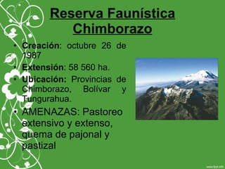Reserva Faunística
Chimborazo
• Creación: octubre 26 de
1987
• Extensión: 58 560 ha.
• Ubicación: Provincias de
Chimborazo, Bolívar y
Tungurahua.
• AMENAZAS: Pastoreo
extensivo y extenso,
quema de pajonal y
pastizal
 