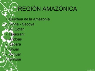 REGIÓN AMAZÓNICA
• Quichua de la Amazonía
• Siona - Secoya
• A’I Cofán
• Huaorani
• Andoas
• Zapara
• Shuar
• Achuar
• Shiwiar
 