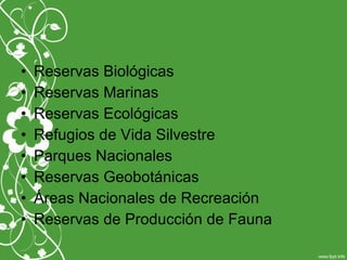 • Reservas Biológicas
• Reservas Marinas
• Reservas Ecológicas
• Refugios de Vida Silvestre
• Parques Nacionales
• Reservas Geobotánicas
• Áreas Nacionales de Recreación
• Reservas de Producción de Fauna
 
