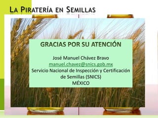 Sistema nacional de semillas México 2012, Por José Manuel Chávez Bravo 