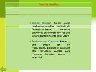 Sistema nacional de semillas México 2012, Por José Manuel Chávez Bravo 