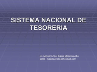 1
SISTEMA NACIONAL DE
TESORERIA
Dr. Miguel Angel Salas Macchiavello
salas_macchiavello@hotmail.com
 
