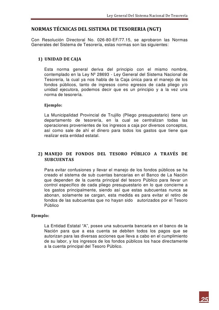 Sistema nacional de tesoreria ley 28693-PERU