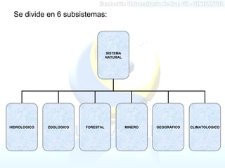 Sistema Natural | PPT