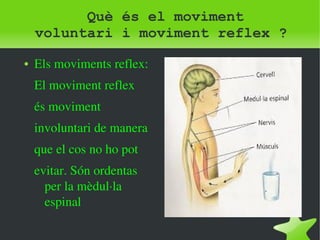Què és el moviment 
voluntari i moviment reflex ? 
● Els moviments reflex: 
El moviment reflex 
és moviment 
involuntari de manera 
que el cos no ho pot 
evitar. Són ordentas 
per la mèdul∙la 
espinal 
 