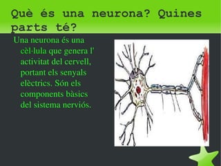 Què és una neurona? Quines 
parts té? 
Una neurona és una 
cèl∙lula que genera l' 
activitat del cervell, 
portant els senyals 
elèctrics. Són els 
components bàsics 
del sistema nerviós. 
 