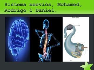 Sistema nerviós, Mohamed, 
Rodrigo i Daniel. 
 