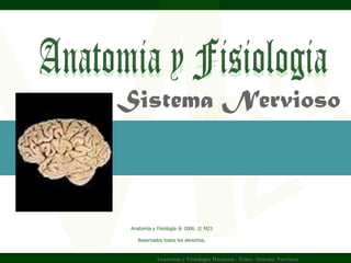 Sistema Nervioso
Wilson Yuptón
  Carrasco.


  Anatomía y Fisiología ® 2006. © M23

     Reservados todos los derechos.


             Anatomía y Fisiología Humana– Tema: Sistema Nervioso
 