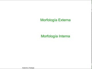 c
                                                                      Sistema Nervioso




   Sistema Nervioso
                                                 Morfología Externa
           Histología
                                                  • Engrosamientos
     Médula espinal
                                                      • Caras
     Bulbo raquídeo

Protuberancia anular
                                                 Morfología Interna
            Cerebelo                              • Sustancia gris
       ´Mesencéfalo                              • Sustancia blanca
          Diencéfalo
                                                   • Canal central

             Cerebro

      S. N. Periférico

     S. N. Autónomo


                         Anatomía y Fisiología                                     24
 