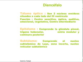 c
                                                               Sistema Nervioso

                                                 Diencéfalo

                         Tálamo óptico : Son 2 núcleos ovoideos
   Sistema Nervioso      situados a cada lado del III ventrículo
                         Función : Centro sensitivo, óptico, auditivo,
           Histología
                         emocional, vegetativo, Centro intermediario
     Médula espinal

     Bulbo raquídeo
                         Epitálamo : Comprende la glándula pineal,
Protuberancia anular     trigono habenular,             estría medular y
            Cerebelo
                         comisura posterior

       ´Mesencéfalo
                         Subtálamo:        Comprende  el    nucleo
          Diencéfalo     subtalámico de Luys, zona incerta, nucleo
             Cerebro
                         reticular subtalámico

      S. N. Periférico

     S. N. Autónomo


                         Anatomía y Fisiología                              44
 