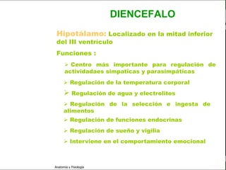 c
                                                                      Sistema Nervioso

                                                 DIENCEFALO
                          Hipotálamo: Localizado en la mitad inferior
                          del III ventrículo
   Sistema Nervioso

           Histología
                          Funciones :

     Médula espinal             Centro más importante para regulación de
                               actividadaes simpaticas y parasimpáticas
     Bulbo raquídeo
                                Regulación de la temperatura corporal
Protuberancia anular
                                Regulación de agua y electrolitos
            Cerebelo
                                Regulación de la selección e ingesta de
       ´Mesencéfalo            alimentos
          Diencéfalo            Regulación de funciones endocrinas

             Cerebro            Regulación de sueño y vigilia
      S. N. Periférico          Interviene en el comportamiento emocional
     S. N. Autónomo


                         Anatomía y Fisiología                                     45
 