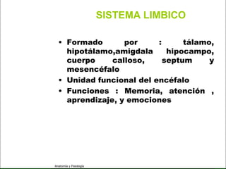 c
                                                               Sistema Nervioso

                                                 SISTEMA LIMBICO

   Sistema Nervioso
                           • Formado       por     :      tálamo,
                             hipotálamo,amigdala      hipocampo,
           Histología
                             cuerpo     calloso,     septum     y
                             mesencéfalo
     Médula espinal


                           • Unidad funcional del encéfalo
     Bulbo raquídeo



                           • Funciones : Memoria, atención ,
Protuberancia anular

            Cerebelo
                             aprendizaje, y emociones
       ´Mesencéfalo

          Diencéfalo

             Cerebro

      S. N. Periférico

     S. N. Autónomo


                         Anatomía y Fisiología                              60
 