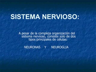 A pesar de la compleja organización del sistema nervioso, consiste solo de dos tipos principales de células:  NEURONAS  Y  NEUROGLIA  SISTEMA NERVIOSO: 