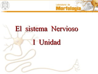 El  sistema  Nervioso I  Unidad 
