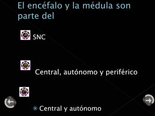SNC Central, autónomo y periférico Central y autónomo  