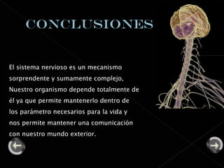 El sistema nervioso es un mecanismo sorprendente y sumamente complejo, Nuestro organismo depende totalmente de él ya que permite mantenerlo dentro de los parámetro necesarios para la vida y nos permite mantener una comunicación con nuestro mundo exterior. 