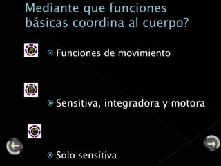 Funciones de movimiento Sensitiva, integradora y motora Solo sensitiva 