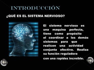¿QUÉ ES EL SISTEMA NERVIOSO? El sistema nervioso es  una maquina perfecta,  tiene como propósito  el coordinar a los demás  sistemas para que  realicen una actividad  conjunta efectiva. Realiza  su función reguladora con una rapidez increíble. 