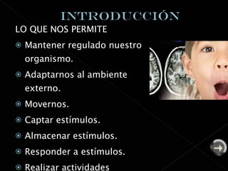 LO QUE NOS PERMITE Mantener regulado nuestro organismo. Adaptarnos al ambiente externo. Movernos. Captar estímulos. Almacenar estímulos. Responder a estímulos. Realizar actividades intelectuales. 