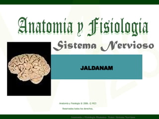 Sistema Nervioso
Wilson JALDANAM
        Yuptón
  Carrasco.


  Anatomía y Fisiología ® 2006. © M23

     Reservados todos los derechos.


             Anatomía y Fisiología Humana– Tema: Sistema Nervioso
 