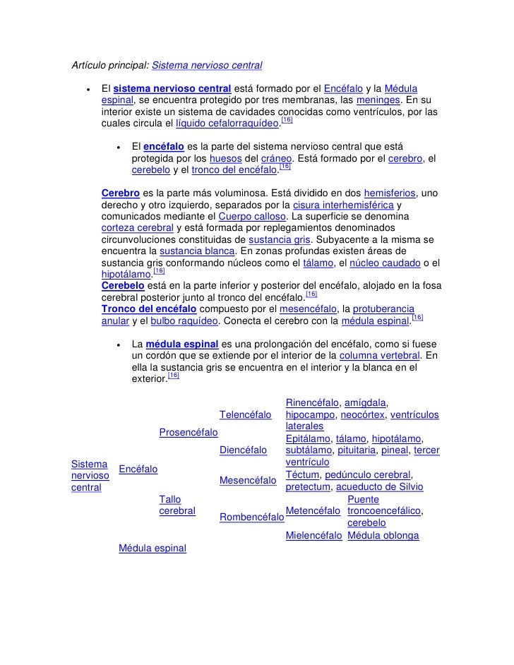 Que Es El Sistema Nervioso