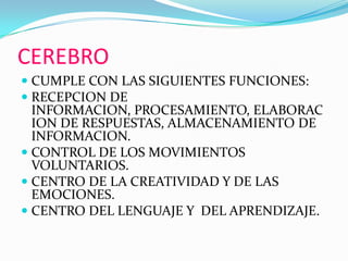 CEREBROCUMPLE CON LAS SIGUIENTES FUNCIONES:RECEPCION DE INFORMACION, PROCESAMIENTO, ELABORACION DE RESPUESTAS, ALMACENAMIENTO DE INFORMACION.CONTROL DE LOS MOVIMIENTOS VOLUNTARIOS.CENTRO DE LA CREATIVIDAD Y DE LAS EMOCIONES.CENTRO DEL LENGUAJE Y  DEL APRENDIZAJE.
