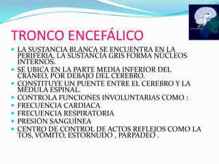 TRONCO ENCEFÁLICOLA SUSTANCIA BLANCA SE ENCUENTRA EN LA  PERIFERIA, LA SUSTANCIA GRIS FORMA NÚCLEOS INTERNOS.SE UBICA EN LA PARTE MEDIA INFERIOR DEL CRÁNEO, POR DEBAJO DEL CEREBRO.CONSTITUYE UN PUENTE ENTRE EL CEREBRO Y LA MÉDULA ESPINAL.CONTROLA FUNCIONES INVOLUNTARIAS COMO :FRECUENCIA CARDIACAFRECUENCIA RESPIRATORIAPRESIÓN SANGUÍNEACENTRO DE CONTROL DE ACTOS REFLEJOS COMO LA TOS, VÓMITO, ESTORNUDO , PARPADEO .