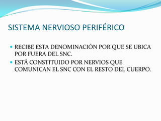SISTEMA NERVIOSO PERIFÉRICORECIBE ESTA DENOMINACIÓN POR QUE SE UBICA POR FUERA DEL SNC.ESTÁ CONSTITUIDO POR NERVIOS QUE COMUNICAN EL SNC CON EL RESTO DEL CUERPO.