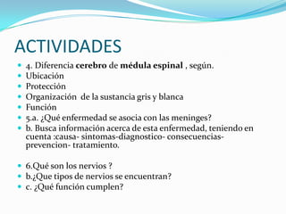ACTIVIDADES4. Diferencia cerebro de médula espinal , según.UbicaciónProtecciónOrganización  de la sustancia gris y blancaFunción5.a. ¿Qué enfermedad se asocia con las meninges?b. Busca información acerca de esta enfermedad, teniendo en cuenta :causa- sintomas-diagnostico- consecuencias-prevencion- tratamiento.6.Qué son los nervios ?b.¿Que tipos de nervios se encuentran?c. ¿Qué función cumplen?