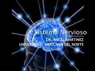 Sistema Nervioso DR. ANGEL MARTINEZ UNIVERSIDAD MEXICANA DEL NORTE 