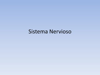 Sistema Nervioso
 