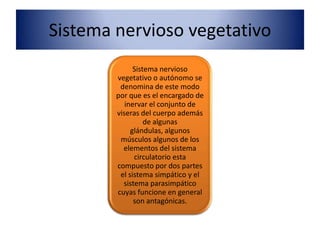 Sistema nervioso vegetativo
              Sistema nervioso
        vegetativo o autónomo se
         denomina de este modo
        por que es el encargado de
           inervar el conjunto de
        viseras del cuerpo además
                  de algunas
             glándulas, algunos
         músculos algunos de los
          elementos del sistema
              circulatorio esta
        compuesto por dos partes
         el sistema simpático y el
          sistema parasimpático
        cuyas funcione en general
              son antagónicas.
 