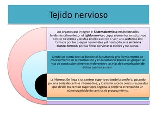 Tejido nervioso
      Los órganos que integran el Sistema Nervioso están formados
 fundamentalmente por el tejido nervioso cuyos elementos constitutivos
   son las neuronas y células griales que dan origen a la sustancia gris
    formada por los cuerpos neuronales y el neuropilo, y la sustancia
      blanca, formada por las fibras nerviosas o axones y sus vainas.


   Desde un punto de vista funcional, la sustancia gris forma centros de
 procesamiento de la información y en la sustancia blanca se agrupan las
  vías de conducción aferentes y eferentes y las vías de comunicación de
                         dichos centros entre sí.


 La información llega a los centros superiores desde la periferia, pasando
por una serie de centros intermedios, y lo mismo sucede con las respuestas
   que desde los centros superiores llegan a la periferia atravesando un
              número variable de centros de procesamiento.
 