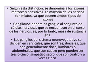 • Según esta distinción, se denomina a los axones:
    motores y sensitivos. La mayoría de los nervios
      son mixtos, ya que poseen ambos tipos de
                         axones
  • Ganglio=Se denomina ganglio al conjunto de
   células nerviosas que se encuentran en el curso
  de los nervios, es, por lo tanto, masa de sustancia
                           gris.
   • Los ganglios del sistema neurovegetativo se
  dividen en cervicales, que son tres; dorsales, que
         son generalmente doce; lumbares o
    abdominales, que son cuatro pero pueden ser
   tres o cinco; simpático sacro, que son cuatro y a
                      veces cinco.
 