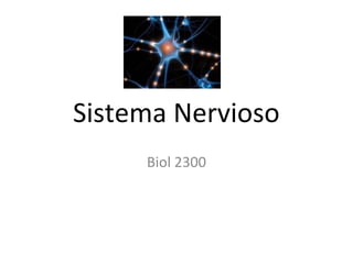 Sistema Nervioso
     Biol 2300
 